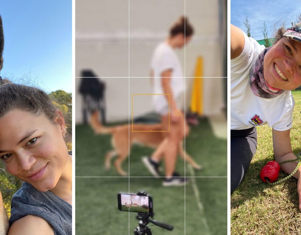 Por que no me gusta decir que soy adiestradora por Silvina Hood