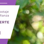 El Autosabotaje y la Culpa, como salir de ahí.