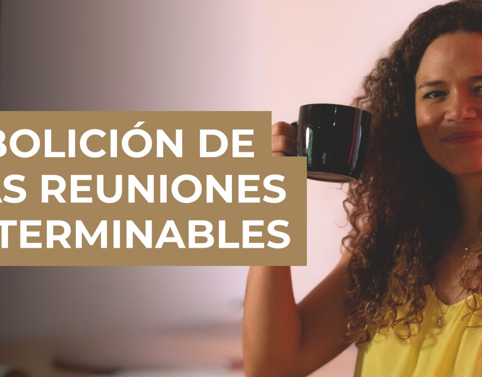 La abolición de las reuniones interminables. ¡Mi fórmula infalible para evitarlas! - Silvina Hood