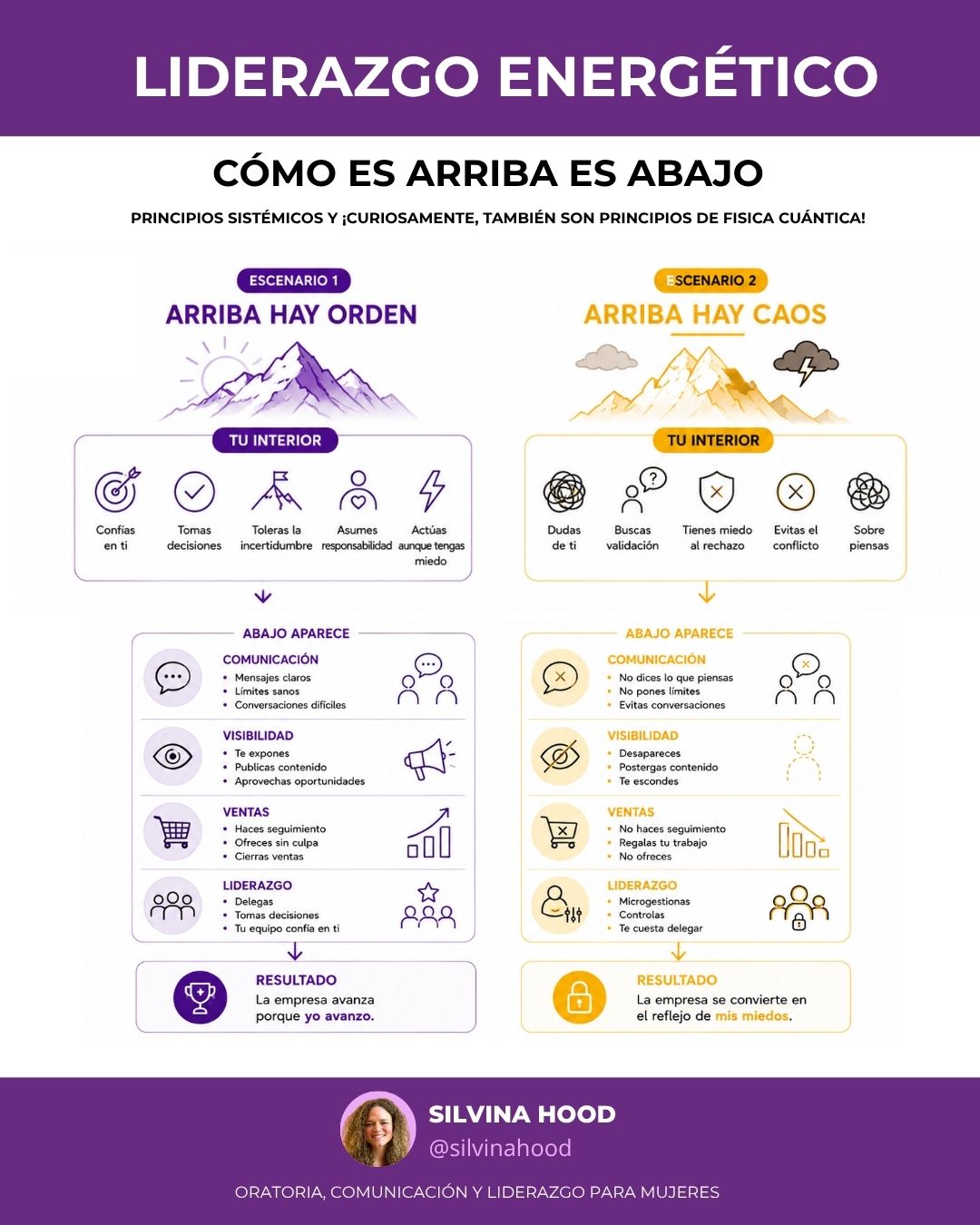 Infografía sobre liderazgo dinámico para ilustrar los conceptos - por Silvina Hood